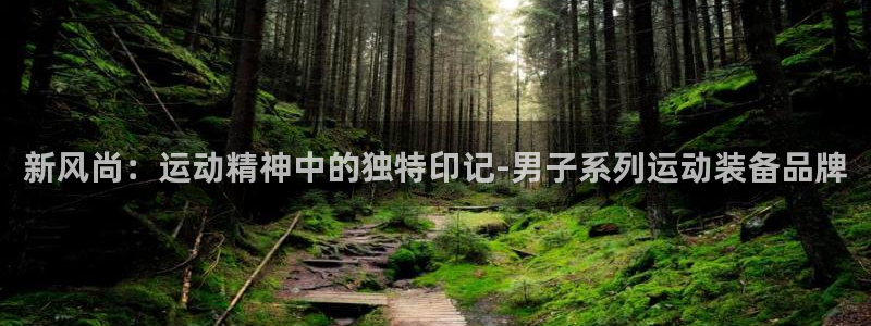 zoty中欧体育：新风尚：运动精神中的独特印记-男子系列运动装备品牌