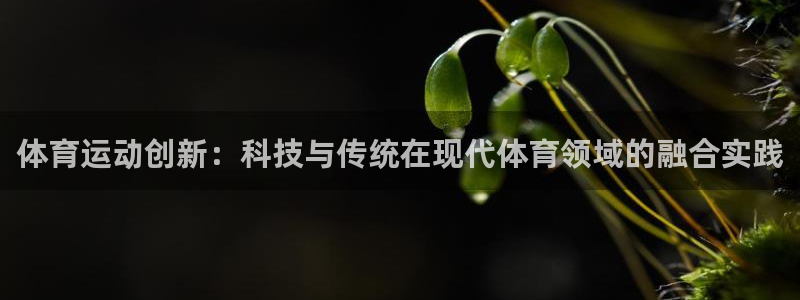 zoty中欧体育：体育运动创新：科技与传统在现代体育领域的融合实践
