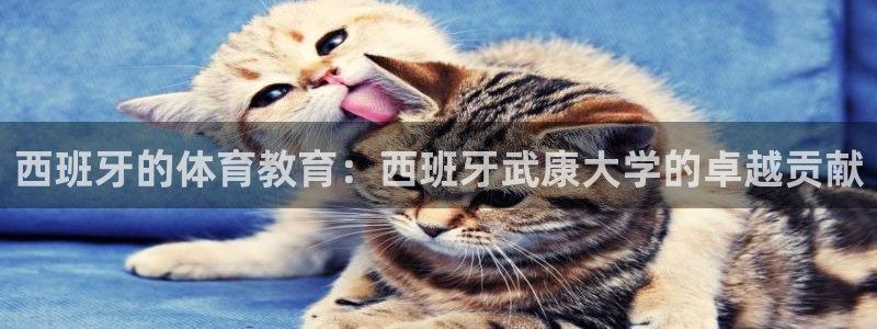 kok中欧体育登录：西班牙的体育教育：西班牙武康大学的卓越贡献