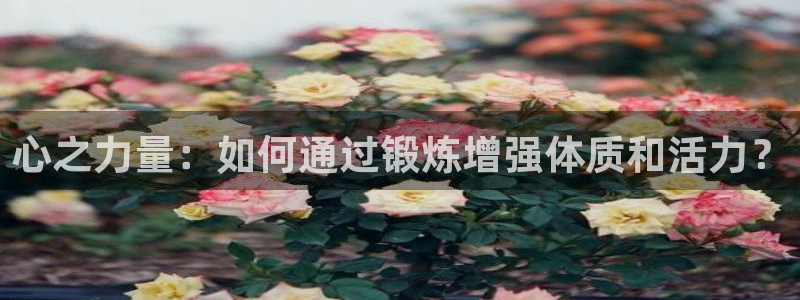 中欧体育网址：心之力量：如何通过锻炼增强体质和活力？
