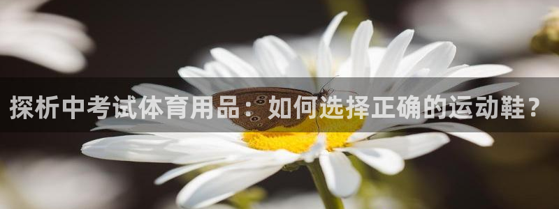kok中欧体育登录：探析中考试体育用品：如何选择正确的运动鞋？