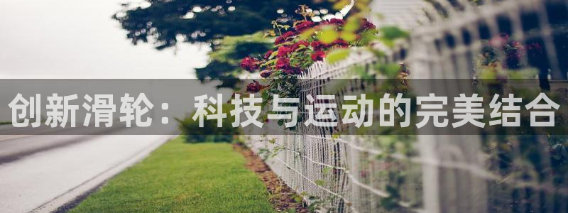 中欧体育kok