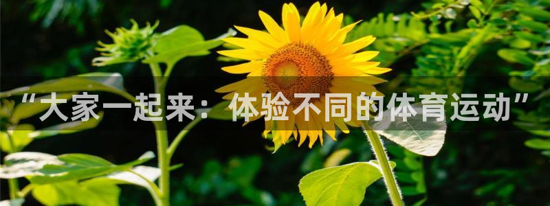中欧体育官网入口