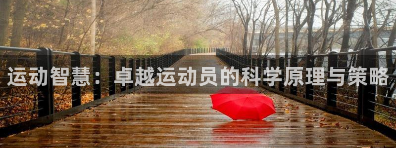 中欧体育登录