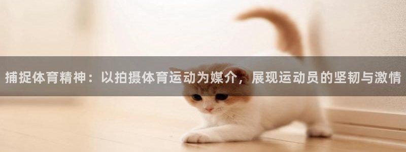 中欧体育平台
