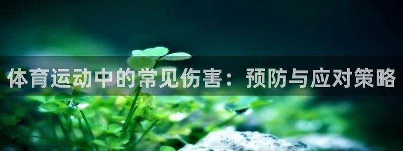 zyty中欧体育平台